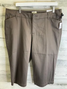 Capris By St Johns Bay In Brown, Size: 16w