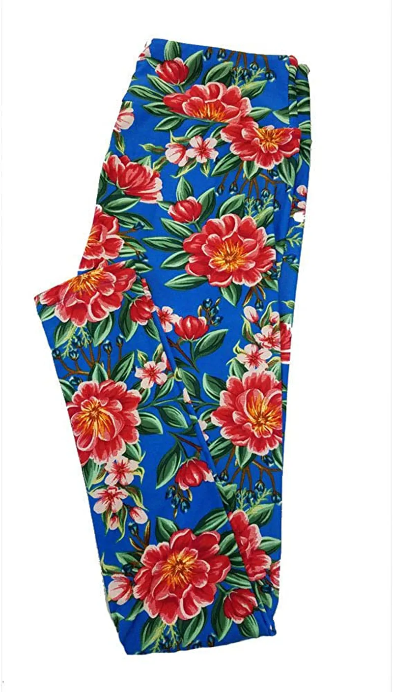 Lularoe Mystery Print One Size (0-10) Leggings