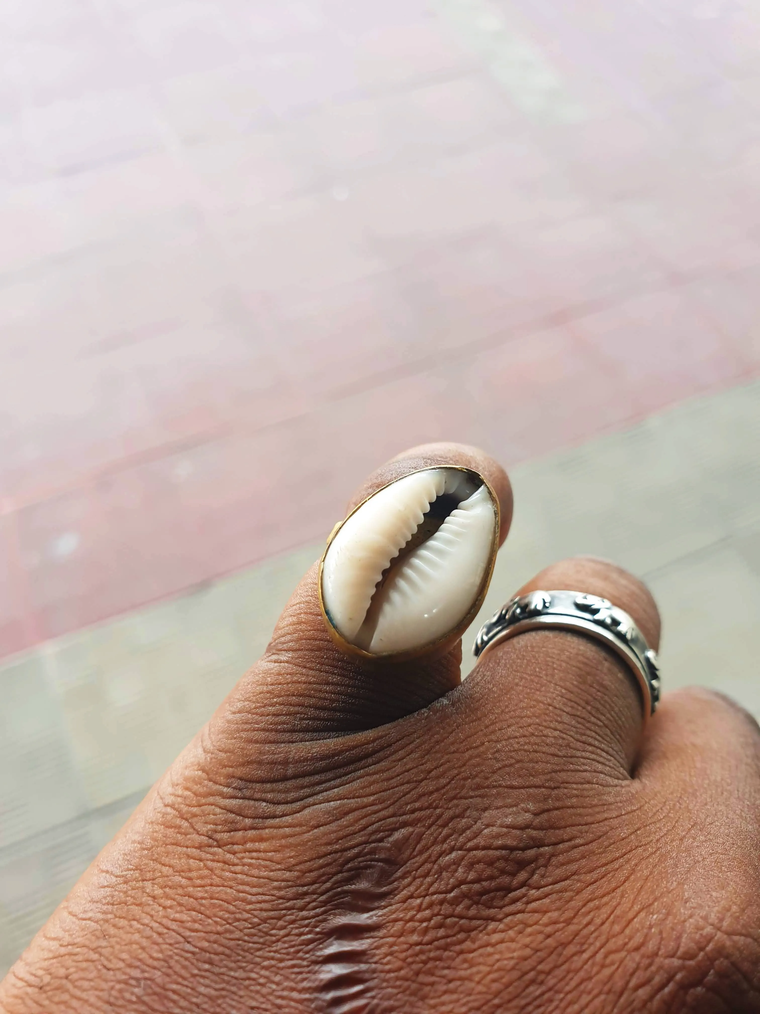 Single Cowrie Ring / Brass