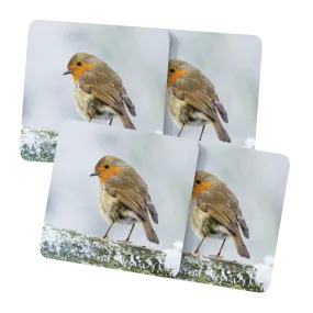 Winter Robins Placemats